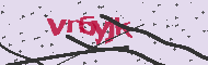 Captcha認証コード