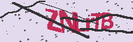 Captcha認証コード